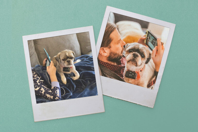 257923 gaming buddy cvirginia 1