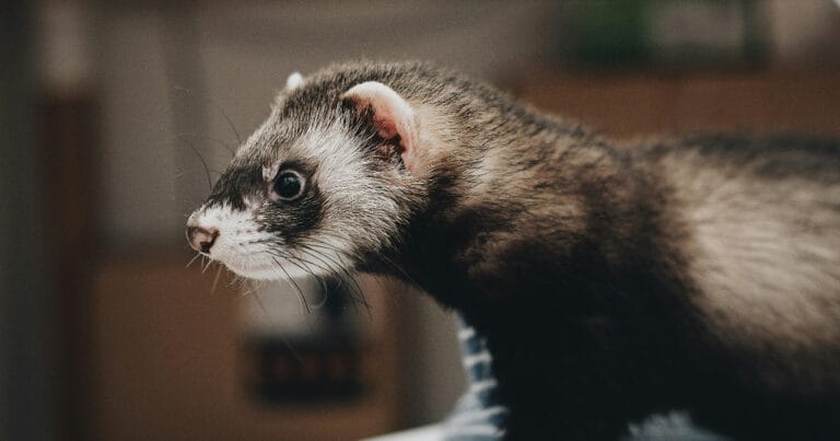 generatedHeaderImage 1757056918076