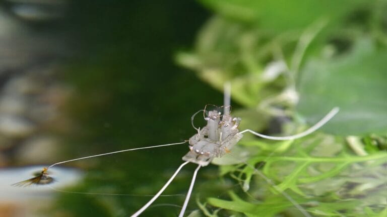 AI News 6 rhagobot 2 1152x648 1